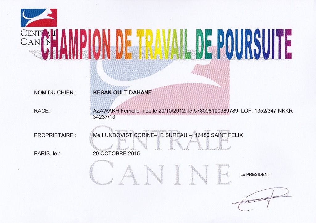 de garde-epée - Le diplôme de CHAMPIONNE de FRANCE de POURSUITE de KESAN est là !