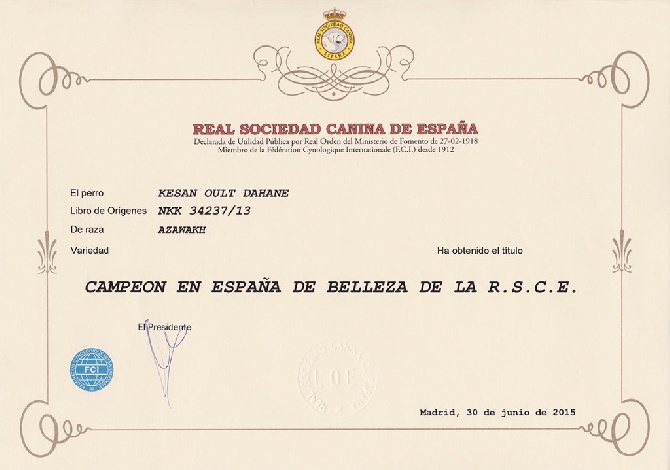 de garde-epée - NOUS AVONS ENFIN REÇU LE DIPLOME DE KESAN