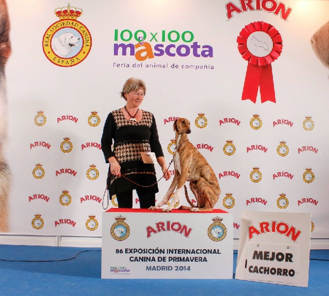 de garde-epée - Inara en classe bébé à Madrid